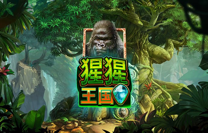 火博体育